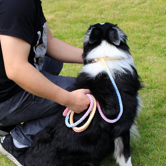 Cuerda de Tracción Arcoíris para Perros Resistente e Implosión Ajustable - Image 3