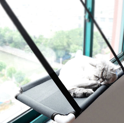 Hamaca Colgante para Gatos en Ventana - Image 15