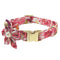Cuello B Rojo Rosa XS