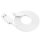 Blanco TypeC 1 M