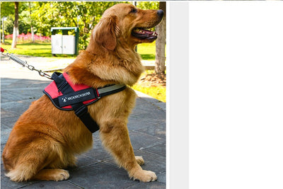 Arnés Pectoral para Perros de Tela Oxford - Image 20