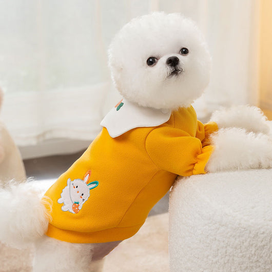 Suéter Fino para Perro con Estampado de Zanahoria y Conejo