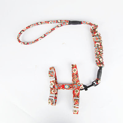 Arnés de Paseo para Gatos con Correa Pectoral - Image 18
