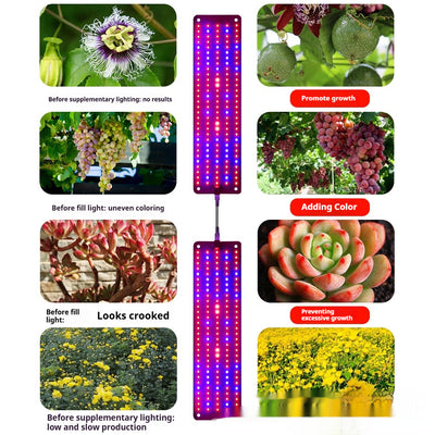 Lámpara de Espectro Completo para Germinador y Cultivo en Invernadero - Image 3