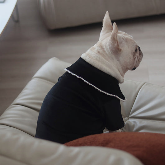 Falda Térmica de Terciopelo para Perros y Gatos Pequeños y Medianos - Image 19