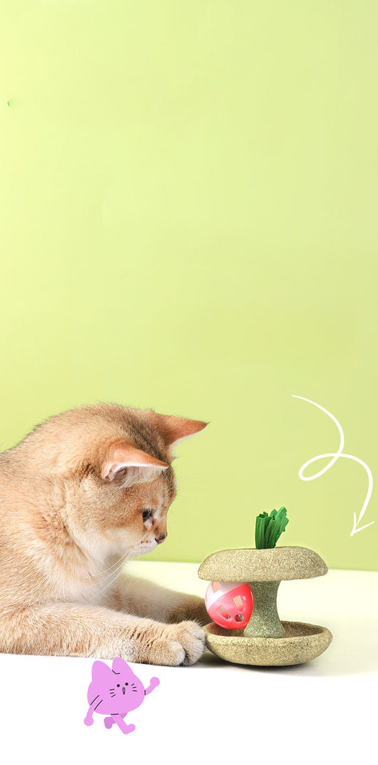 Juguete de Hierba Gatera Comestible con Campana - Juego Interactivo para Gatos - Image 7