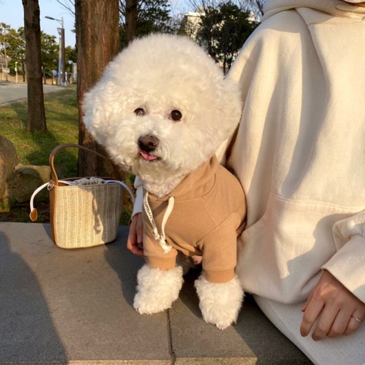 Suéter Elegante y Cómodo para Perros - Image 8