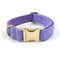 Collar para Perro Terciopelo Púrpura Taro Simple