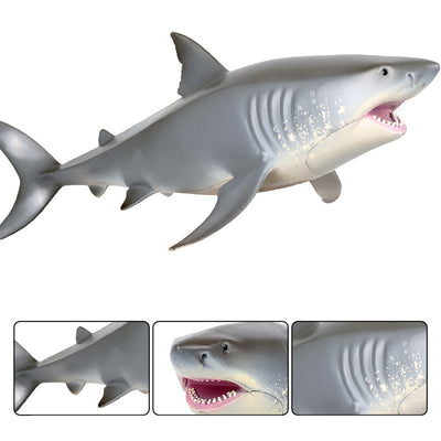 Juguete Modelo Realista de Tiburón Blanco para Niños - Image 8