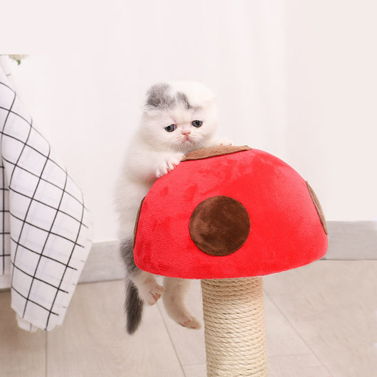 Rascador para Gatos con Columna de Sisal y Estructura Escaladora Flor Champiñón - Image 9