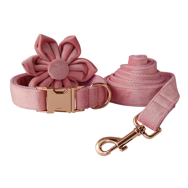 Collar para Perro de Plumón de Ganso con Hebilla Oro Rosa