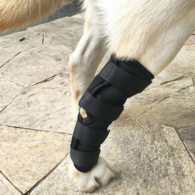 Mallas Protectoras para Perros - Prevención de Lesiones y Lamidos - Image 4