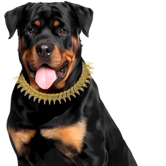Collar Diamante para Mascotas Estilo Europeo y Americano