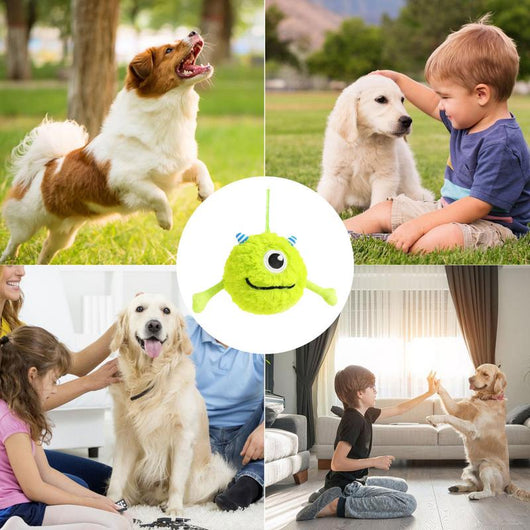 Juguete Interactivo para Perros con Sonido - Pelota Multifuncional para Limpiar Dientes - Image 5