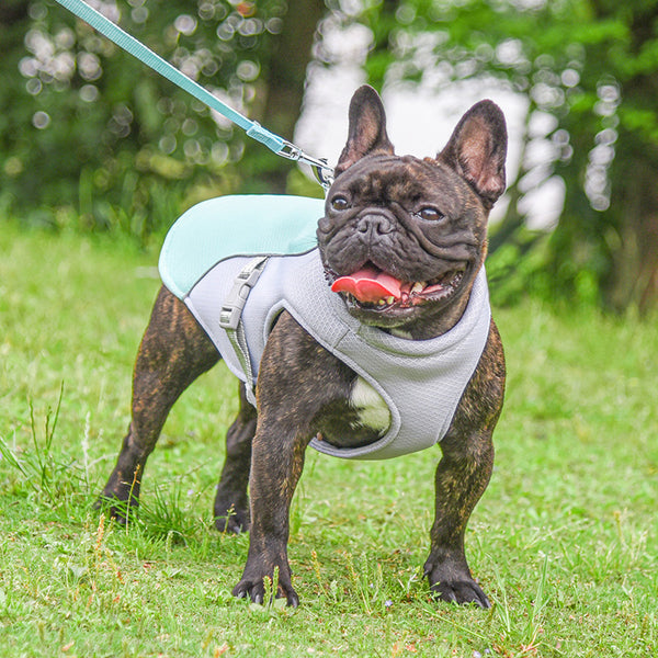 Chaleco Refrigerante Transpirable para Mascotas - Protección Verano