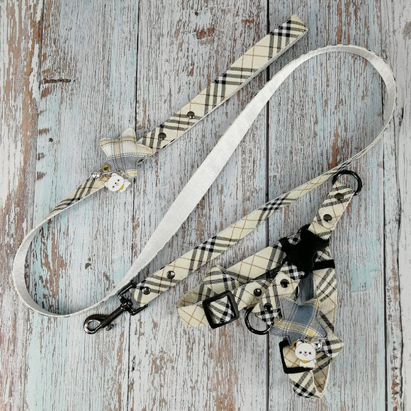 Juego de Correas de Cuero para Mascotas - Línea Fashion