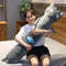 Cat - 140cm