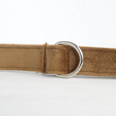 Correa Anillo para Perro - Control Seguro y Cómodo - Image 3