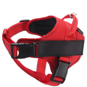 Arnés de Seguridad para Mascotas - Image 5