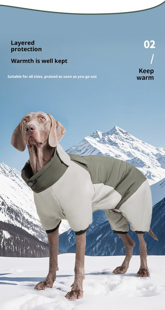 Abrigo Reflectante para Perros - Algodón Grueso con Visibilidad Alta - Image 15