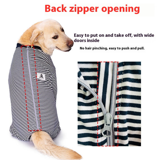 Ropa Ligera para Perros Golden Retriever y Labrador - Image 3