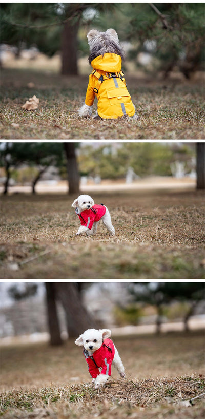 Impermeable para Perros Resistente Todas las Estaciones - Image 18