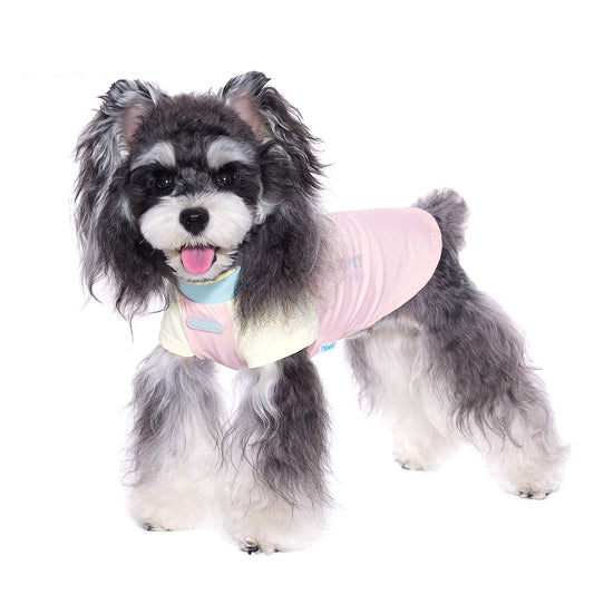 Ropa Fresca para Perros Pequeños Bichón Schnauzer - Image 2