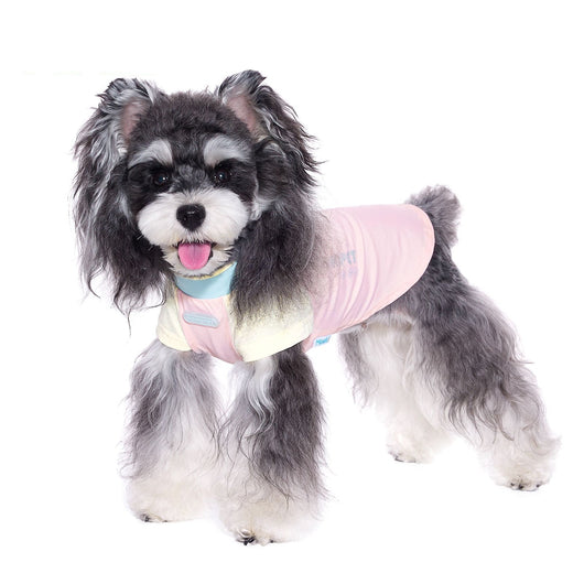 Ropa Fresca para Perros Pequeños Bichón Schnauzer - Image 2