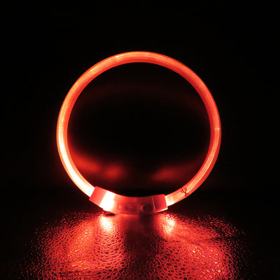 Collar Luminoso Antiextravío para Perros Grandes - Seguridad Visible - Image 17