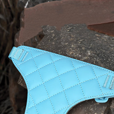 Arnés Pectoral con Cuerda para Perros Pequeños - Teddy y Corgi - Image 15