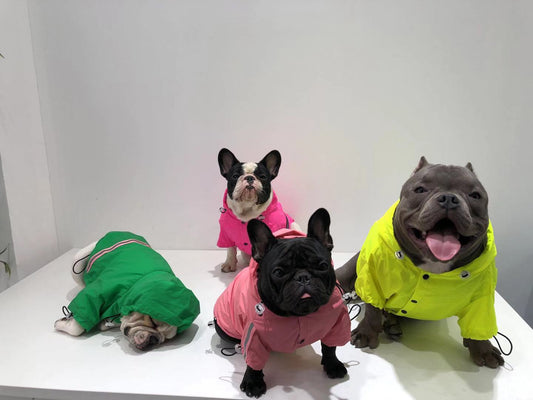 Impermeable Reflectante para Mascotas