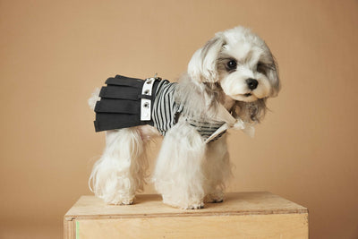 Vestido Rayado Primavera y Verano para Perros - Image 42