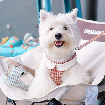 Arnés de Paseo Ligero para Perros Pequeños con Cuerda