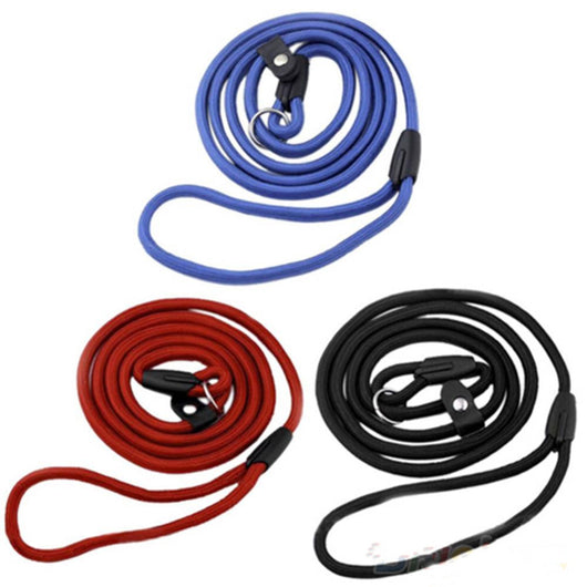Correa de Nylon para Perro - Resistente y Segura - Image 12