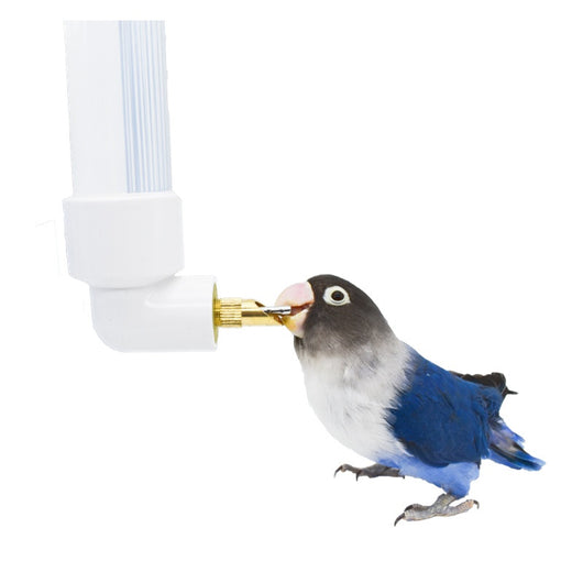 Bebedero Automático para Mascotas con Dispensador de Agua Grande - Image 4
