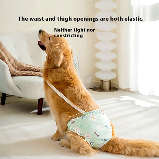 Pantaletas Menstruales Absorbentes Big Dog - Protección Cómoda Todo el Día - Image 3