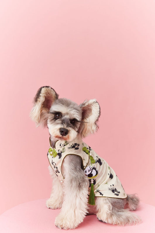 Chaleco sin Mangas Estilo Chino para Mascotas - Diseño Panda Teddy Schnauzer Bichón - Image 29