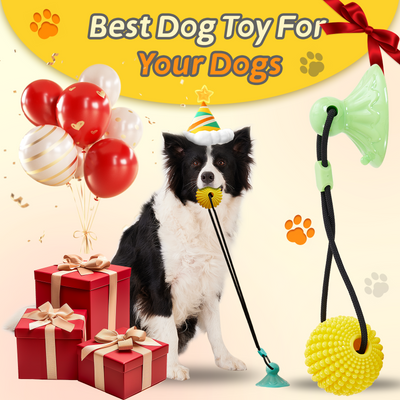 Juguete Masticable de Maíz con Ventosa - Juego Interactivo de Tracción para Perros Medianos y Grandes - Image 13