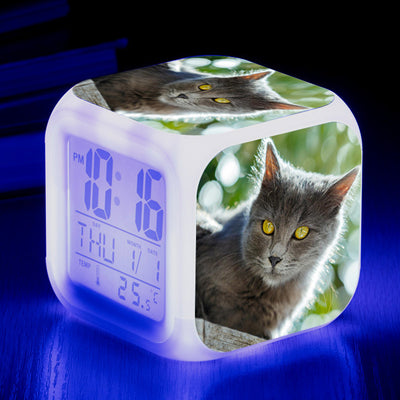 Reloj Despertador Cuadrado Multicolor para Gatos - Image 4