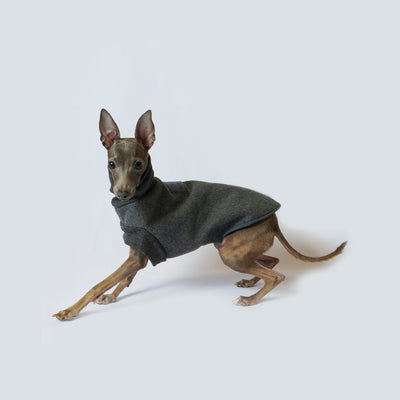 Abrigo para Perros Otoño e Invierno - Aislante y Resistente al Viento - Image 8