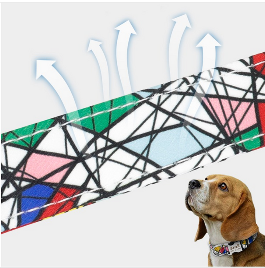 Collar Personalizado para Perros Grandes con Letras - Image 7