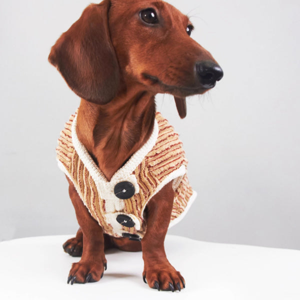 Sudadera Hoodie a Rayas para Perros Miniatura Yorkshire y Bichon