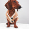 Sudadera Hoodie a Rayas para Perros Miniatura Yorkshire y Bichon