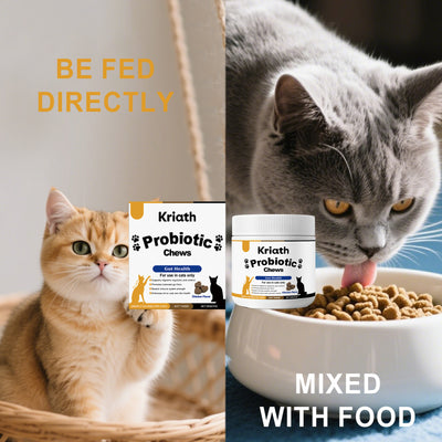Pellets Probióticos Suaves para Gatos - Image 9