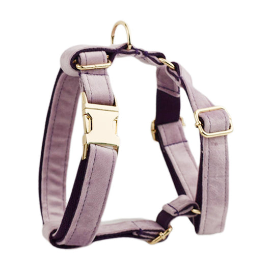 Collar para Perro de Terciopelo Suave - Image 17