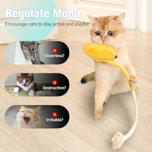 Juguetes para Gatos con Cuerda de Sisal y Hierba Gatera - Juguetes Seguros para Gatos Aburridos - Image 3