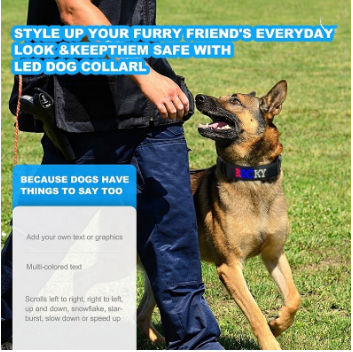 Collar Inteligente Antipérdida para Perros con GPS Recargable - Image 6
