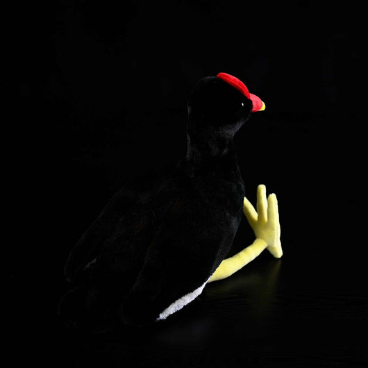 Peluche Pollo Black Water con Hueso Rojo - Image 10