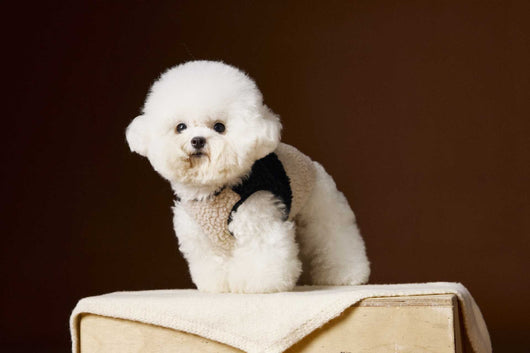 Chaleco de Terciopelo Acolchado Schnauzer Bichon sin Mangas - Image 37
