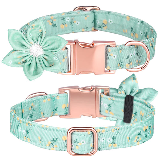 Juego de Collar y Correa Personalizado para Mascotas - Image 50